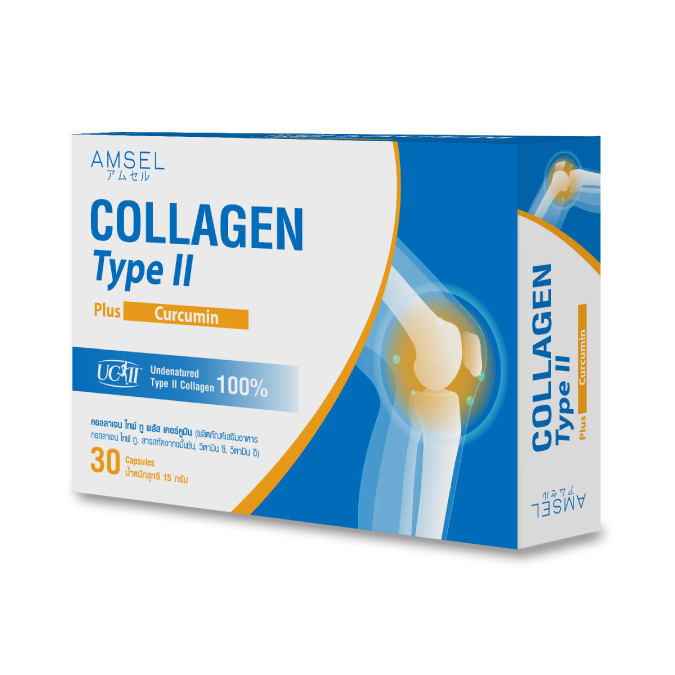 Amsel Collagen Type II Plus Curcumin