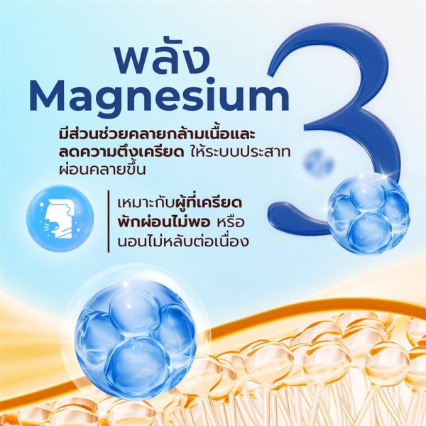 แอมเซลแมกนีเซียม พลัส - Image 2