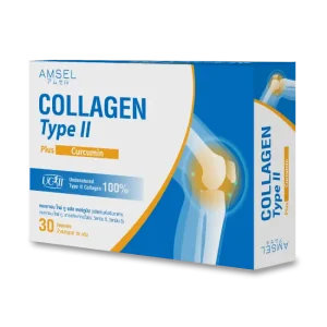 แอมเซลคอลลาเจน ไทพ์ ทู พลัส เคอคูมิน