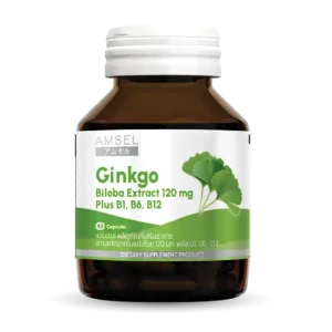 แอมเซลสารสกัดจากใบแปะก๊วย 120 มก.