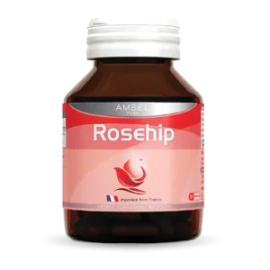 แอมเซลสารสกัดจากโรสฮิป 500 มก.