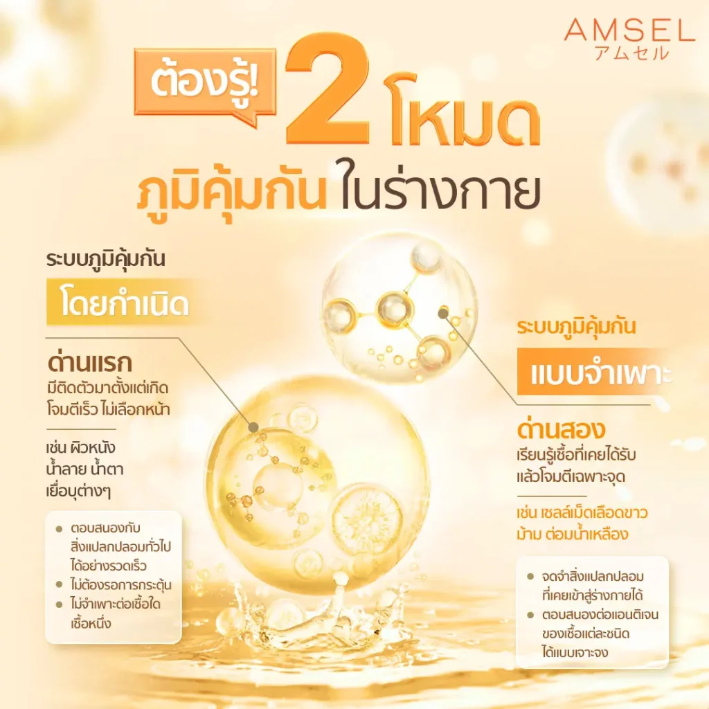 ต้องรู้ 2 โหมด ภูมิคุ้มกันในร่างกาย