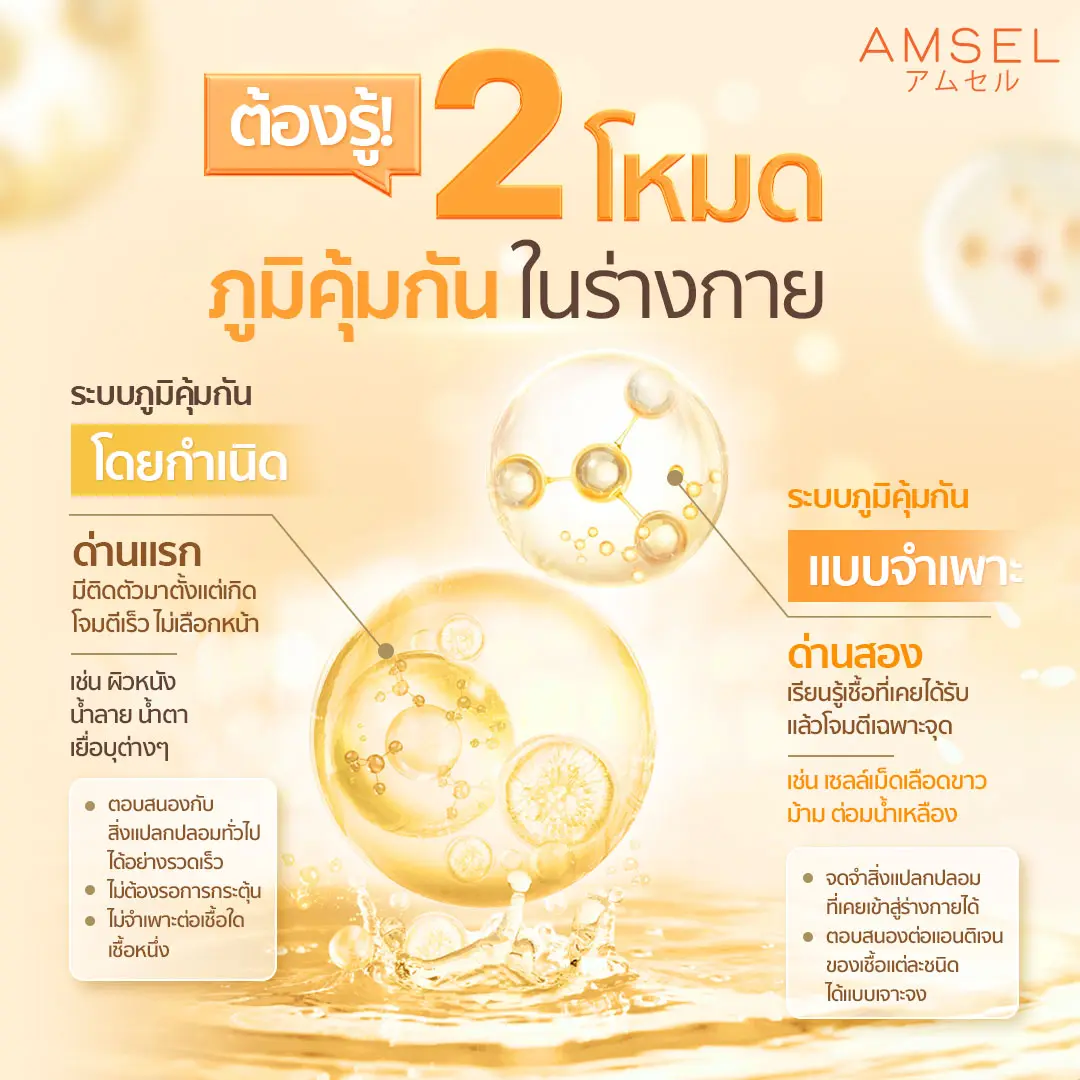 ต้องรู้ 2 โหมด ภูมิคุ้มกันในร่างกาย